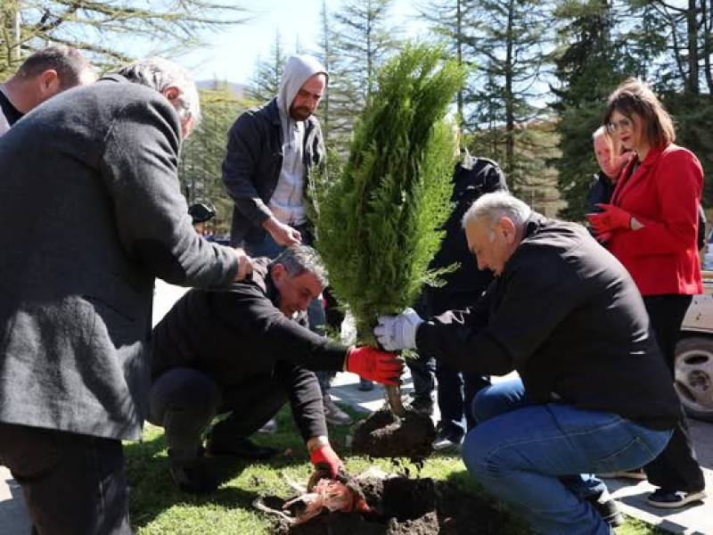 ცაგერის მუნიციპალიტეტის მერმა ჭაბუკი ჭაბუკიანმა ქალაქ ცაგერში,  გამწვანების აქციაში მიიღო მონაწილეობა